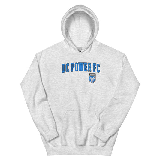 DC Power Embroidered Wordmark Adult Hoodie Ash