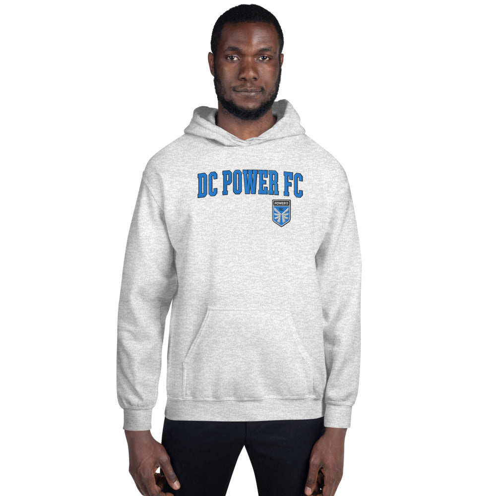 DC Power Embroidered Wordmark Adult Hoodie