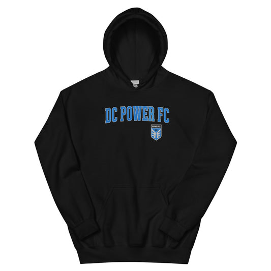 Dc power embroidered wordmark adult hoodie - black