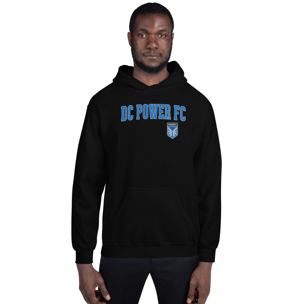 DC Power Embroidered Wordmark Adult Hoodie